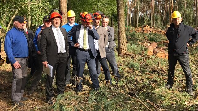  Ausweitung staatlicher Hilfen für Betroffene von Sturmschäden im Landkreis Fürth erreicht 