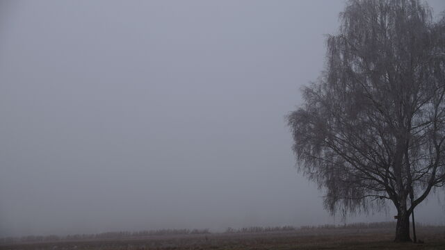 Natur pur - einfach schön