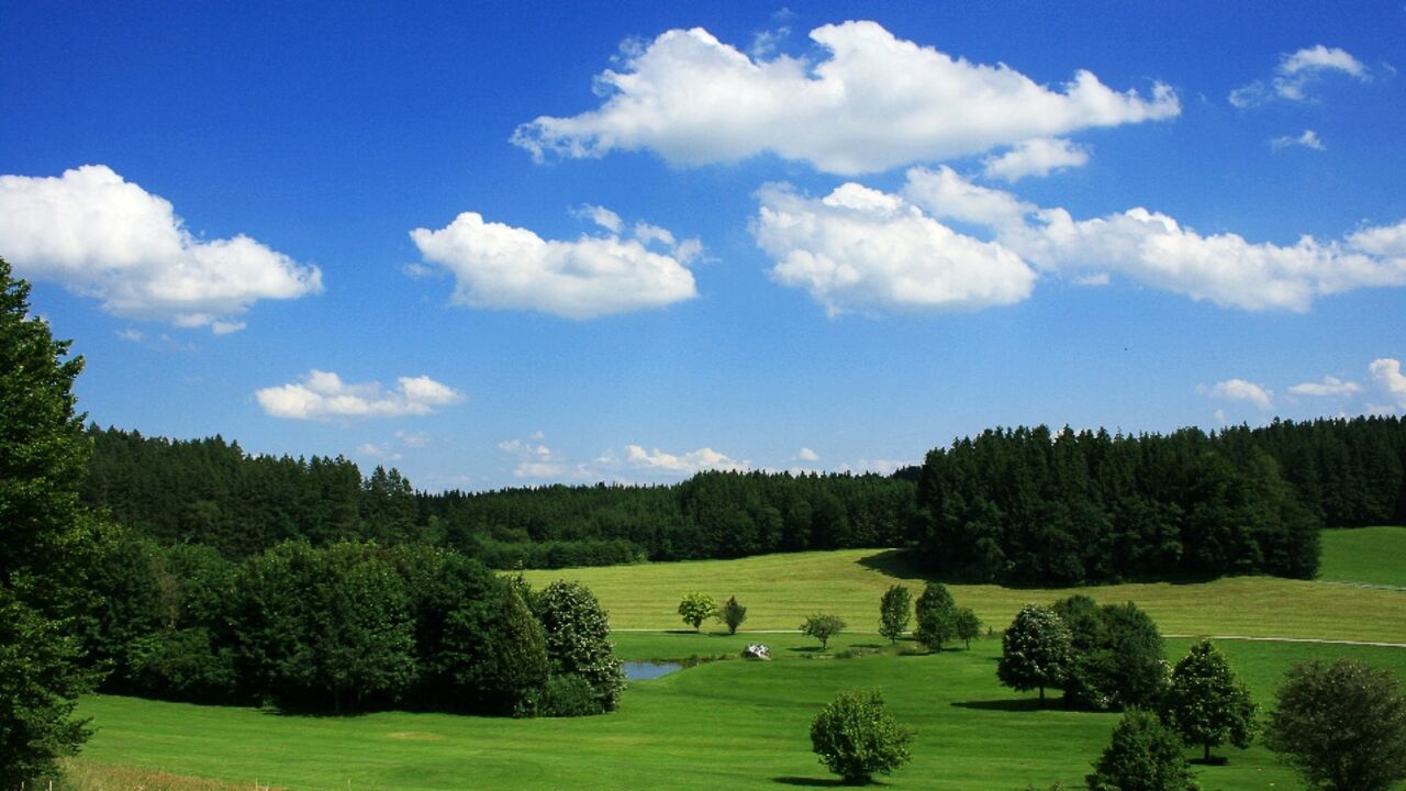 Landschaft vor weiß-blauem Himmel